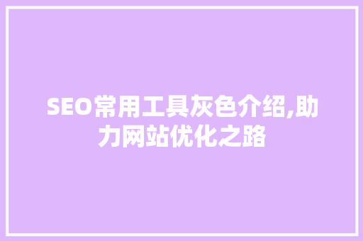 SEO常用工具灰色介绍,助力网站优化之路