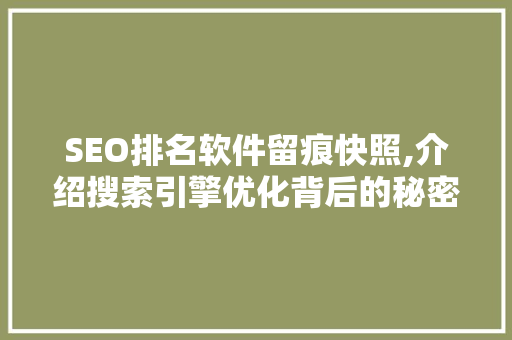 SEO排名软件留痕快照,介绍搜索引擎优化背后的秘密