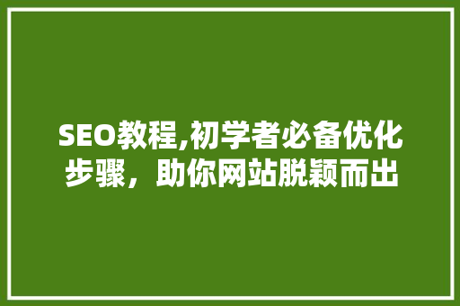 SEO教程,初学者必备优化步骤，助你网站脱颖而出