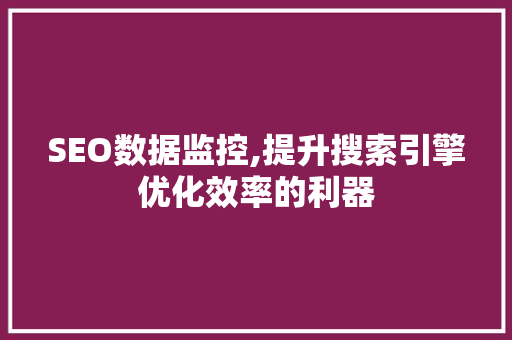 SEO数据监控,提升搜索引擎优化效率的利器