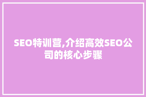 SEO特训营,介绍高效SEO公司的核心步骤