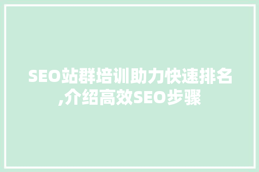 SEO站群培训助力快速排名,介绍高效SEO步骤