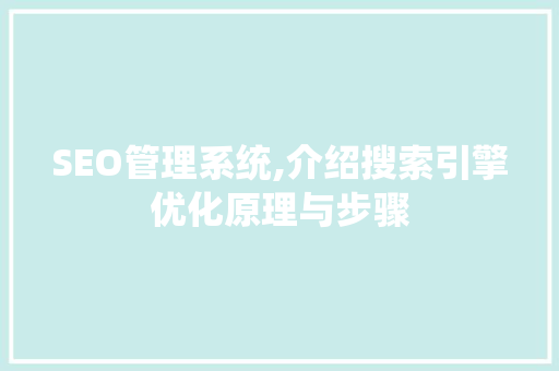 SEO管理系统,介绍搜索引擎优化原理与步骤