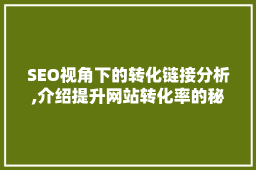 SEO视角下的转化链接分析,介绍提升网站转化率的秘密武器