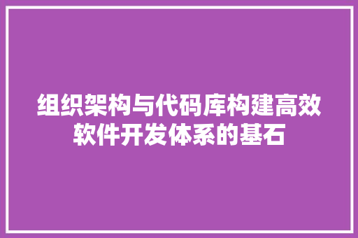 组织架构与代码库构建高效软件开发体系的基石