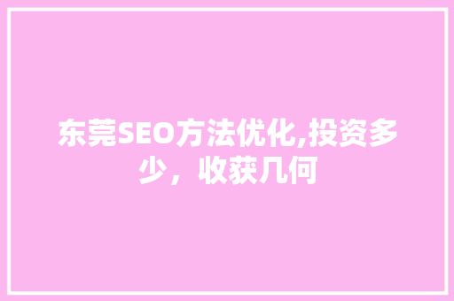 东莞SEO方法优化,投资多少，收获几何