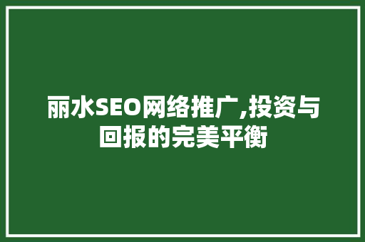 丽水SEO网络推广,投资与回报的完美平衡