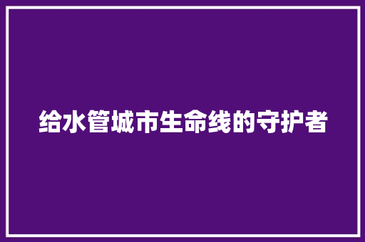 给水管城市生命线的守护者