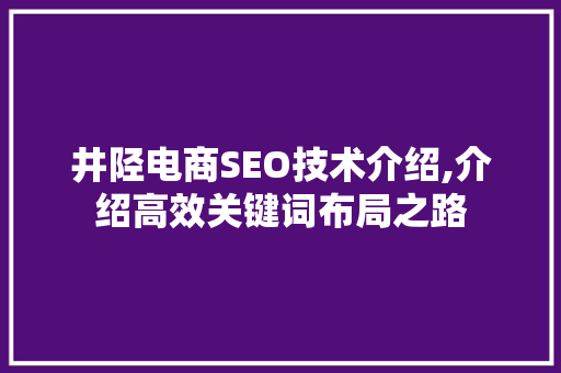 井陉电商SEO技术介绍,介绍高效关键词布局之路