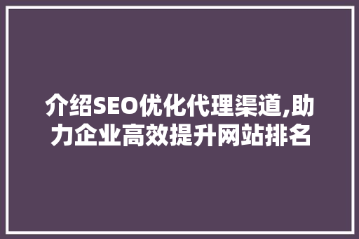 介绍SEO优化代理渠道,助力企业高效提升网站排名