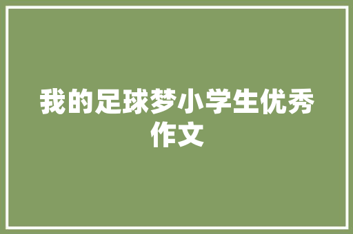 介绍SEO公司推广宣传片背后的秘密,如何让你的品牌在互联网上脱颖而出
