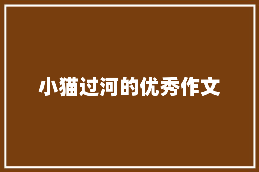 介绍SEO外包公司选择之路,如何找到最适合您的合作伙伴  第1张
