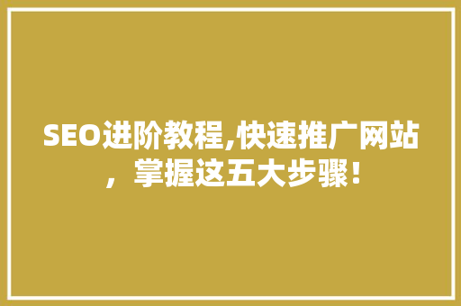 SEO进阶教程,快速推广网站，掌握这五大步骤！