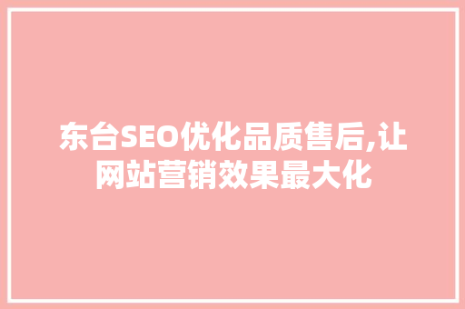 东台SEO优化品质售后,让网站营销效果最大化