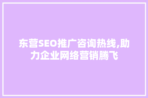 东营SEO推广咨询热线,助力企业网络营销腾飞