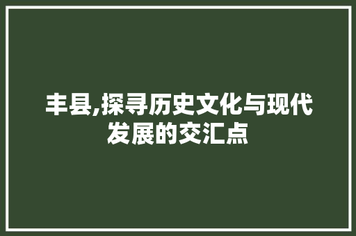 丰县,探寻历史文化与现代发展的交汇点