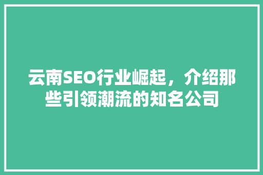 云南SEO行业崛起，介绍那些引领潮流的知名公司