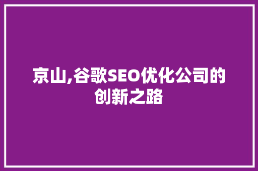 京山,谷歌SEO优化公司的创新之路