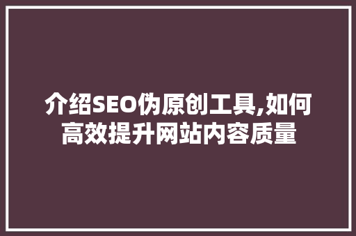 介绍SEO伪原创工具,如何高效提升网站内容质量