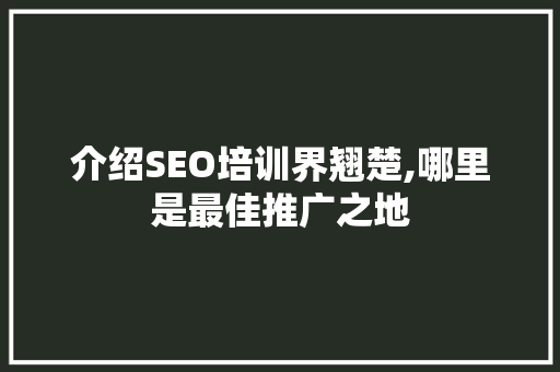 介绍SEO培训界翘楚,哪里是最佳推广之地