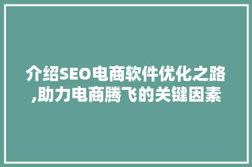 介绍SEO电商软件优化之路,助力电商腾飞的关键因素
