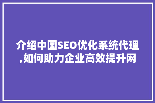 介绍中国SEO优化系统代理,如何助力企业高效提升网站排名