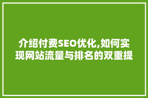 介绍付费SEO优化,如何实现网站流量与排名的双重提升