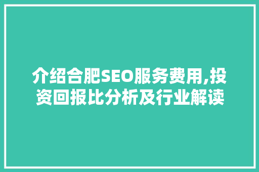 介绍合肥SEO服务费用,投资回报比分析及行业解读