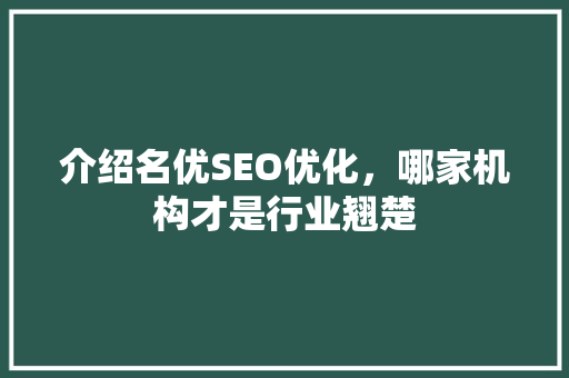 介绍名优SEO优化，哪家机构才是行业翘楚
