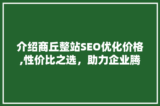 介绍商丘整站SEO优化价格,性价比之选，助力企业腾飞