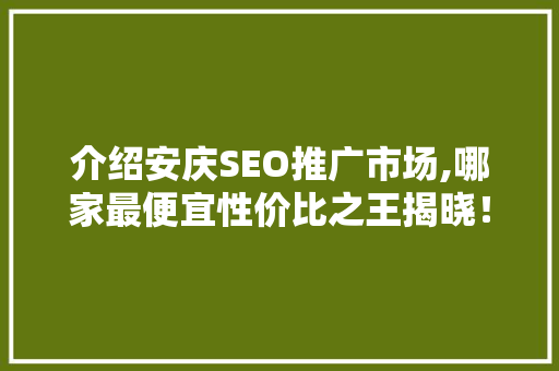 介绍安庆SEO推广市场,哪家最便宜性价比之王揭晓！
