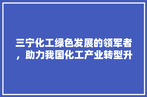 三宁化工绿色发展的领军者，助力我国化工产业转型升级