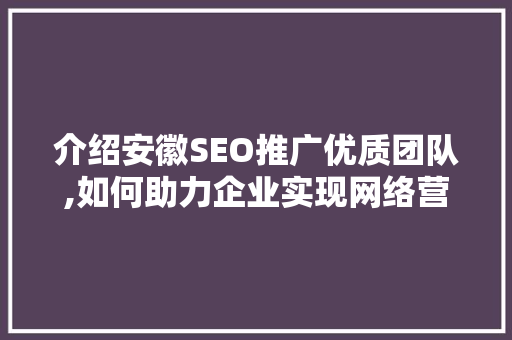 介绍安徽SEO推广优质团队,如何助力企业实现网络营销新突破