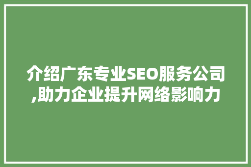 介绍广东专业SEO服务公司,助力企业提升网络影响力
