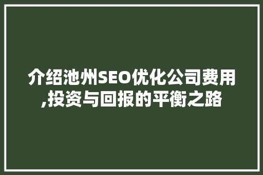 介绍池州SEO优化公司费用,投资与回报的平衡之路