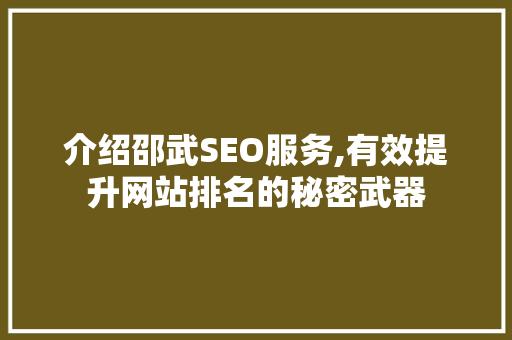 介绍邵武SEO服务,有效提升网站排名的秘密武器