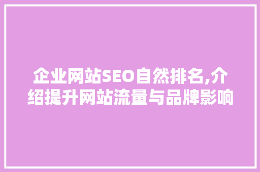 企业网站SEO自然排名,介绍提升网站流量与品牌影响力的方法