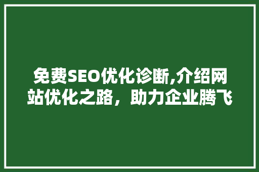 免费SEO优化诊断,介绍网站优化之路，助力企业腾飞