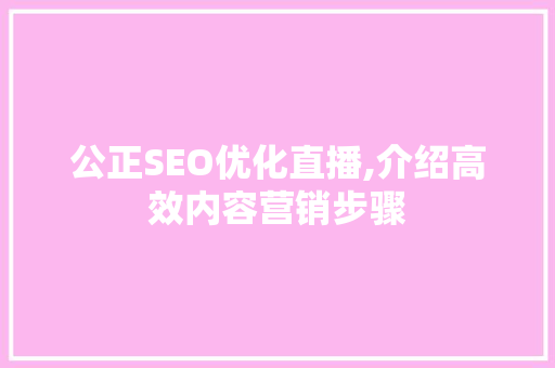 公正SEO优化直播,介绍高效内容营销步骤