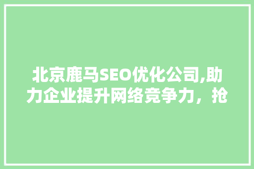 北京鹿马SEO优化公司,助力企业提升网络竞争力，抢占市场先机
