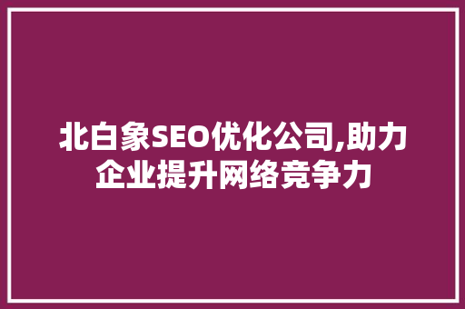 北白象SEO优化公司,助力企业提升网络竞争力