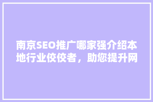 南京SEO推广哪家强介绍本地行业佼佼者，助您提升网络竞争力！