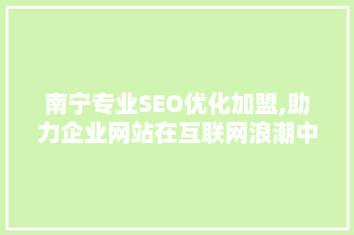 南宁专业SEO优化加盟,助力企业网站在互联网浪潮中脱颖而出