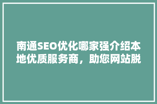 南通SEO优化哪家强介绍本地优质服务商，助您网站脱颖而出！
