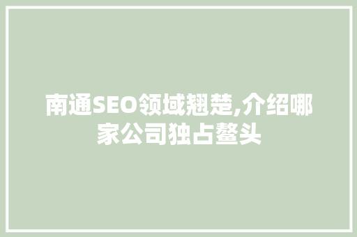 南通SEO领域翘楚,介绍哪家公司独占鳌头