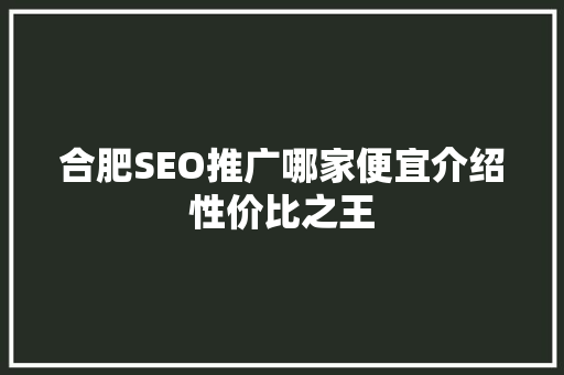 合肥SEO推广哪家便宜介绍性价比之王