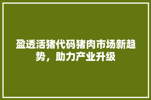 盈透活猪代码猪肉市场新趋势，助力产业升级