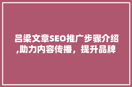 吕梁文章SEO推广步骤介绍,助力内容传播，提升品牌影响力