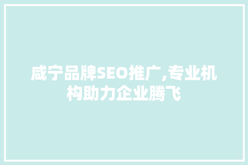 咸宁品牌SEO推广,专业机构助力企业腾飞