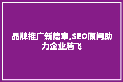 品牌推广新篇章,SEO顾问助力企业腾飞